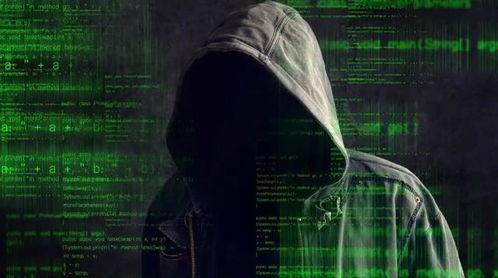 黑客爆料图片最新版大全,技术突破与安全挑战并存